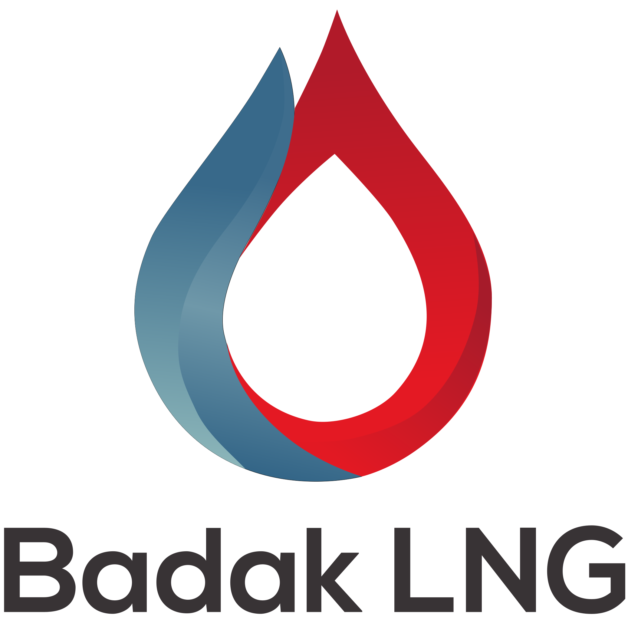 PT BADAK NGL