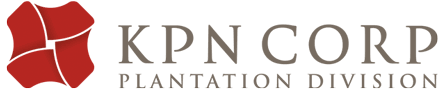KPN